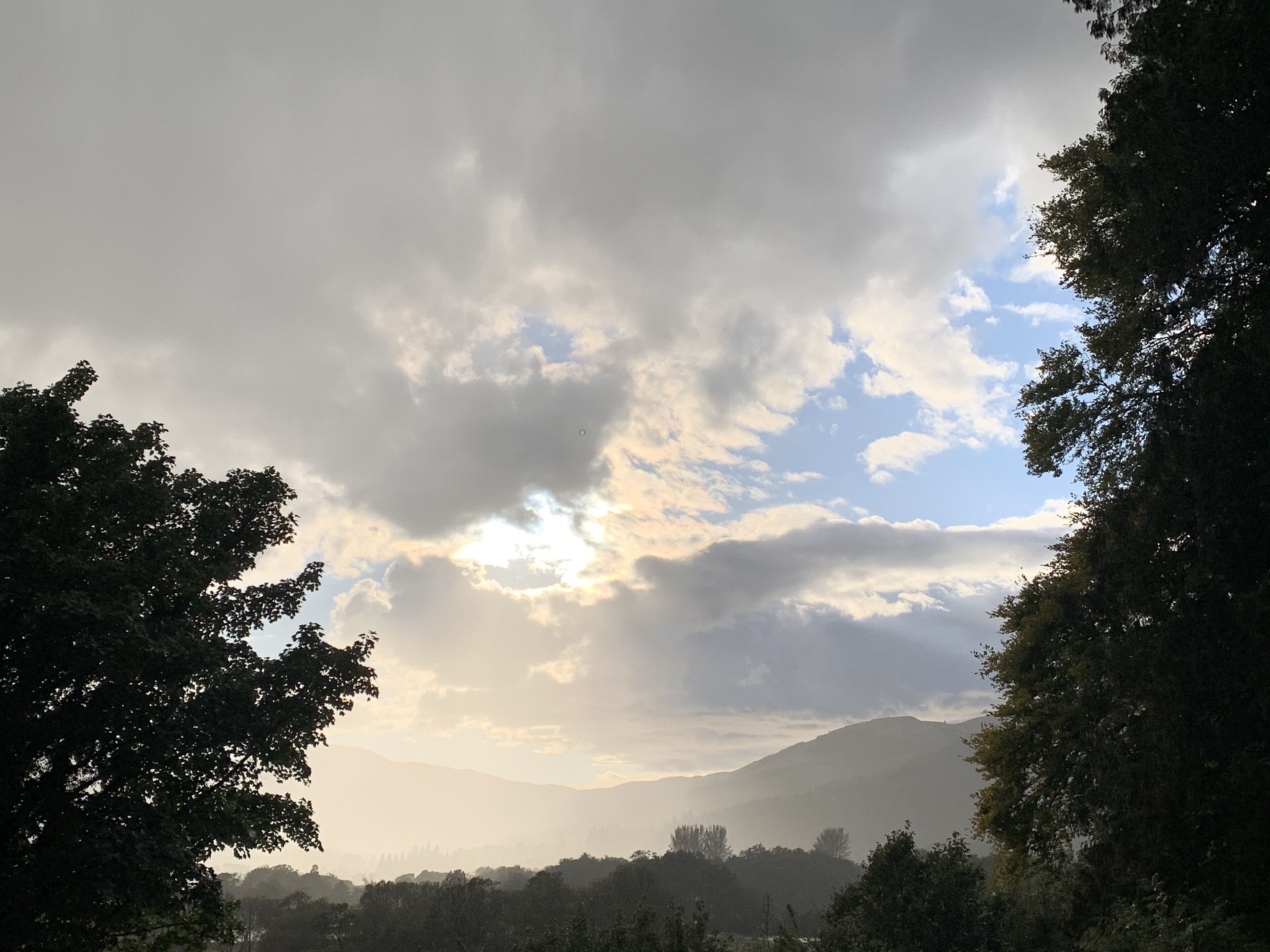 منوع