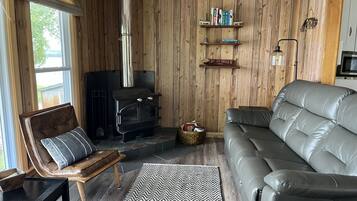 Televisión, chimenea, reproductor de DVD y libros