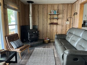 Télévision, cheminée, lecteur de DVD, livres