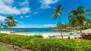A tropical beach resort with palm trees, a swimming pool, and a beach area.