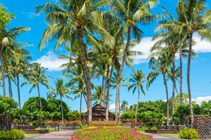 Property grounds - Ocean View, White Sand Beach Steps Away, Private Club & Membership (Kamuela)