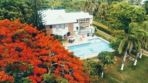 A two-story house with a swimming pool, surrounded by lush greenery and palm trees.