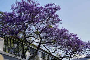 A tree with purple flowers, a metal railing, and a building in the background.