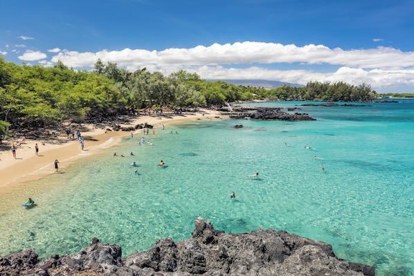 بالقرب من الشاطئ