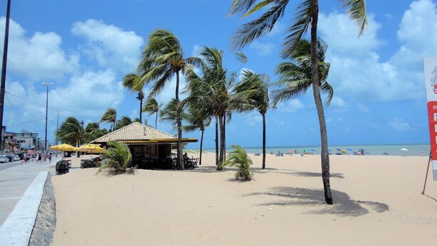 Escena de playa con palmeras, una cabaña pequeña y sombrillas.