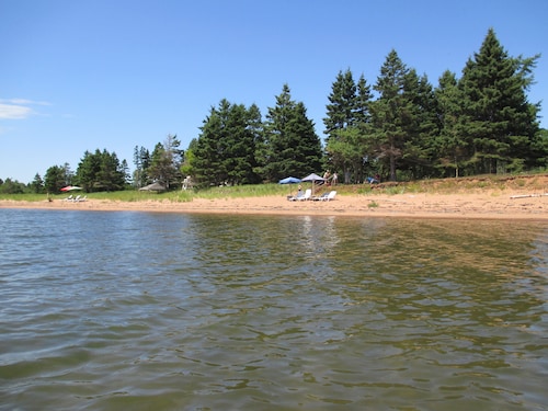 So Much Beach So Little Time 