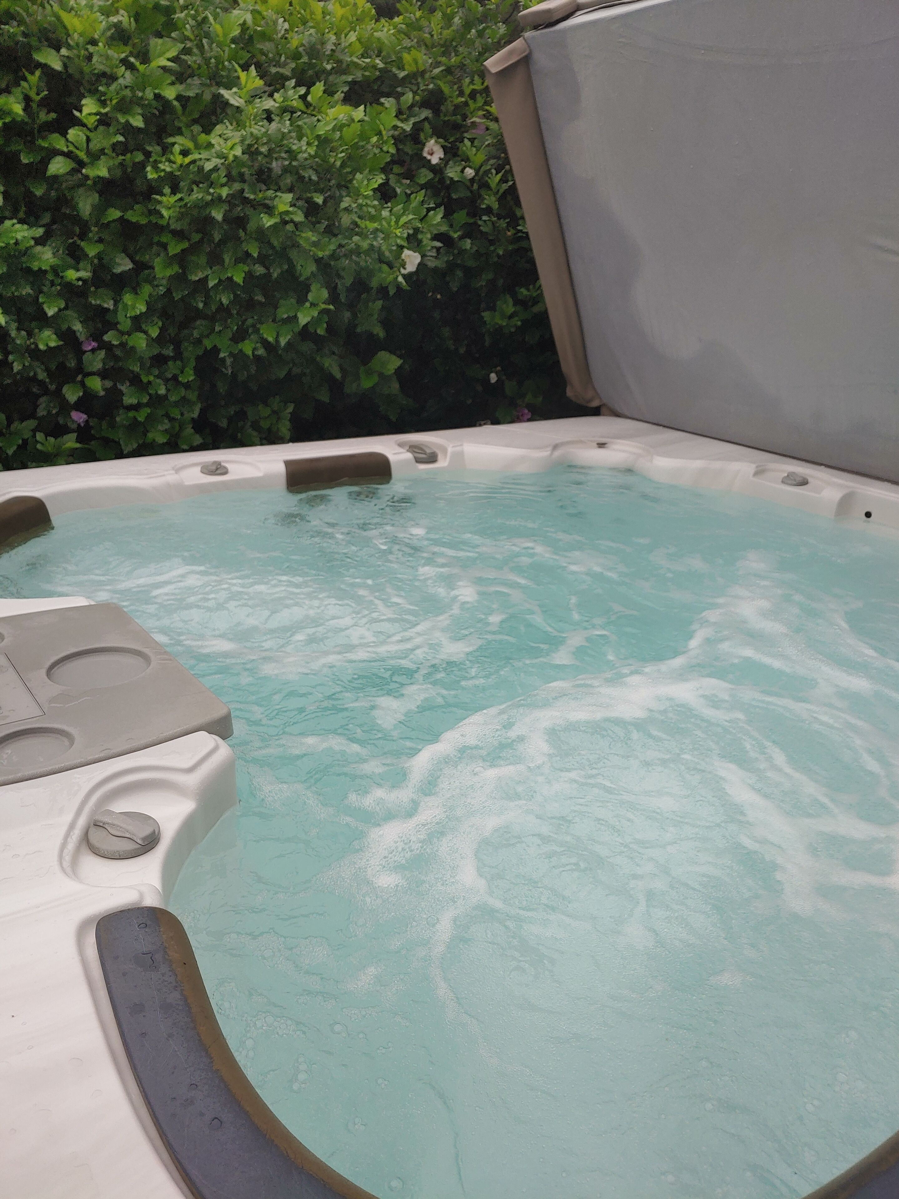 Un jacuzzi con tapa entreabierta, rodeado de exuberante follaje verde.
