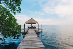 Terrace/patio - GOLD STANDARD - Pointe House, tip of peninsula , walk to village, 1 BR/2 BA (Placencia Village)