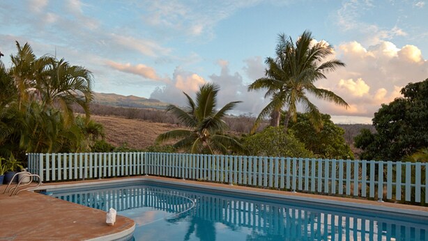 A swimming pool with a blue deck, surrounded by palm trees and a white fence.