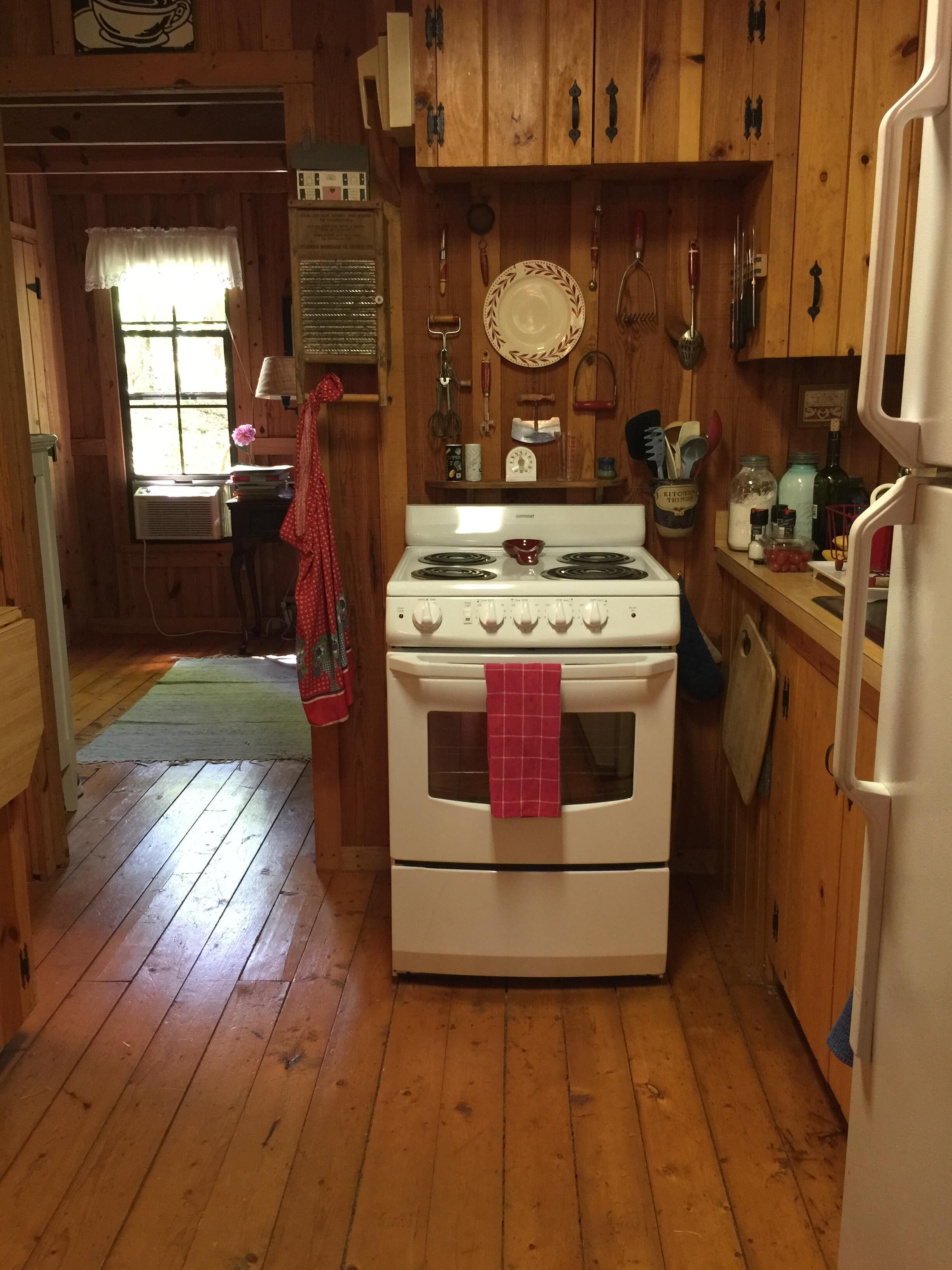 Relaxing Rustic Cabin