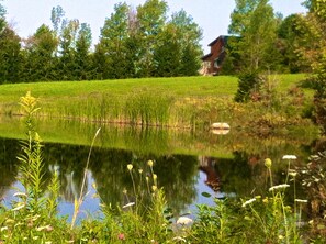 Property grounds - The MOST private, beautiful Log Home for up to 12 guests. 10 min to Dreams Park (Hartwick)