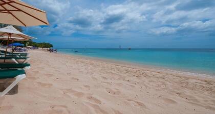 UNITĂ DE COIN SPACIEUX AU REZ-DE-CHAUSSĂE