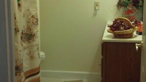 Une salle de bain avec un rideau de douche, un tableau encadré au mur, un petit tapis et un panier posé sur le comptoir.