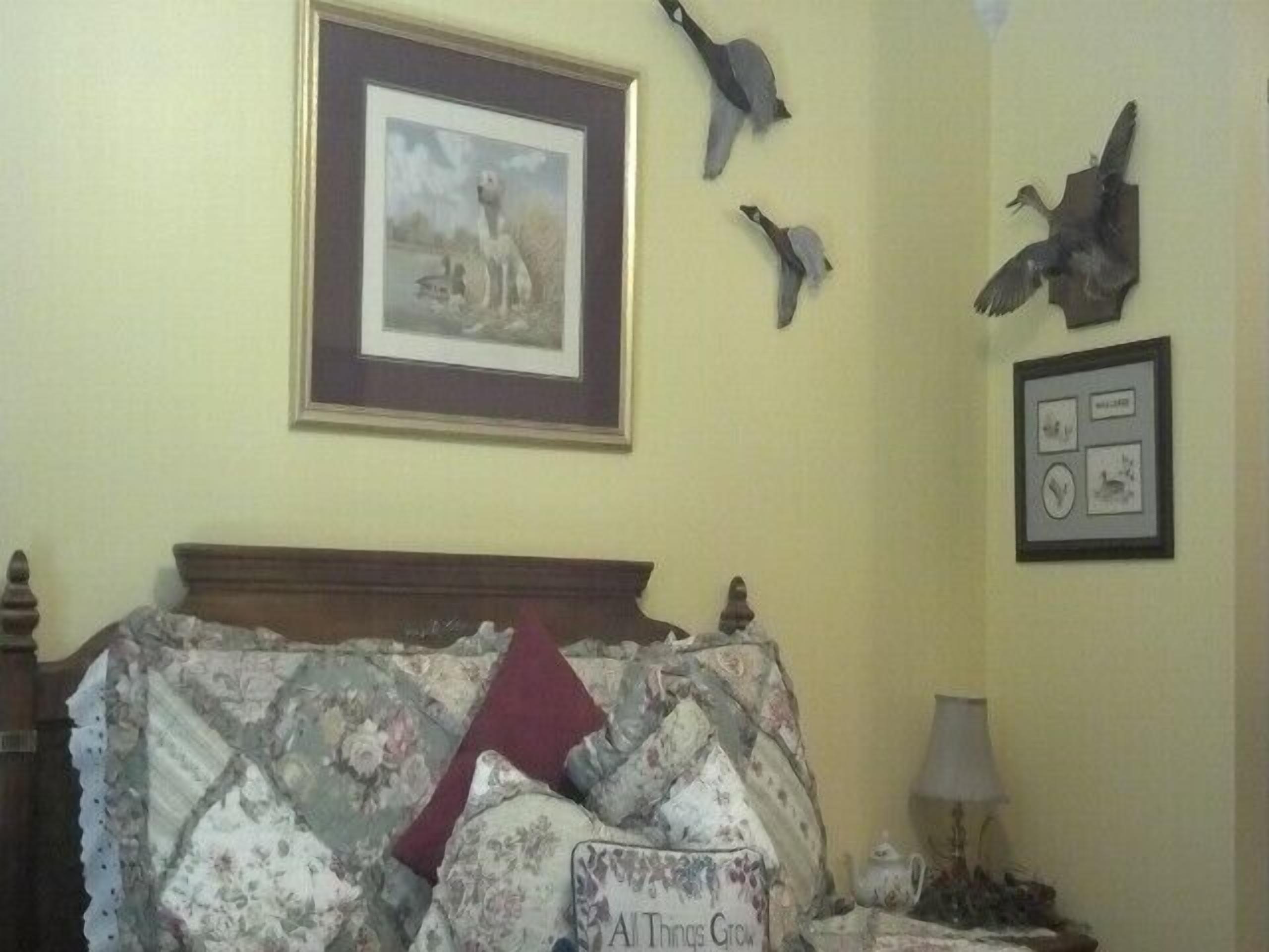 Tennessee River Bed and Breakfast Retreat! Lakefront! No Fees!