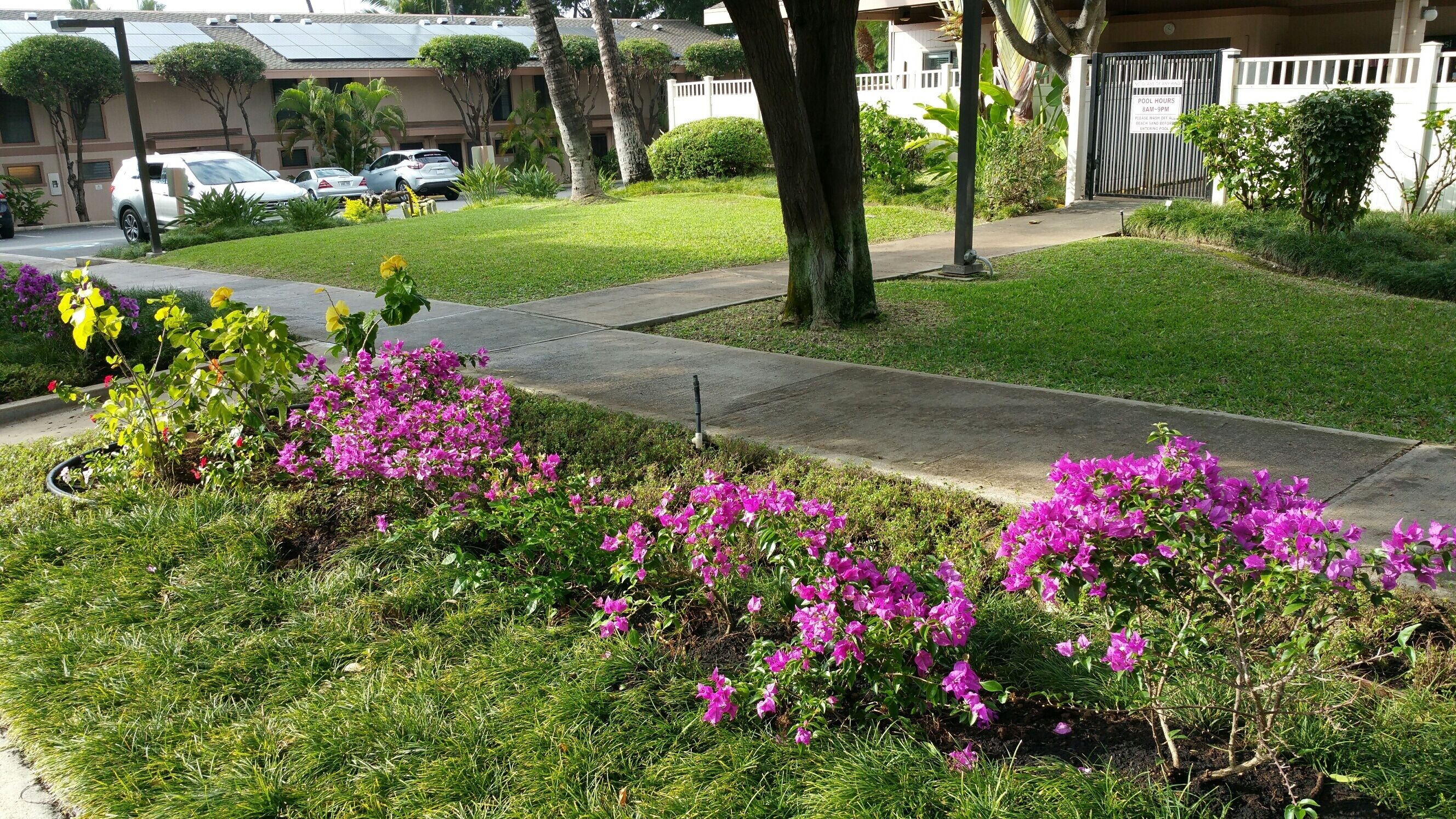 Spectacular Ocean and Sunset Views From This 2BR/ 2Bath 6th Floor Condo - Photo 17