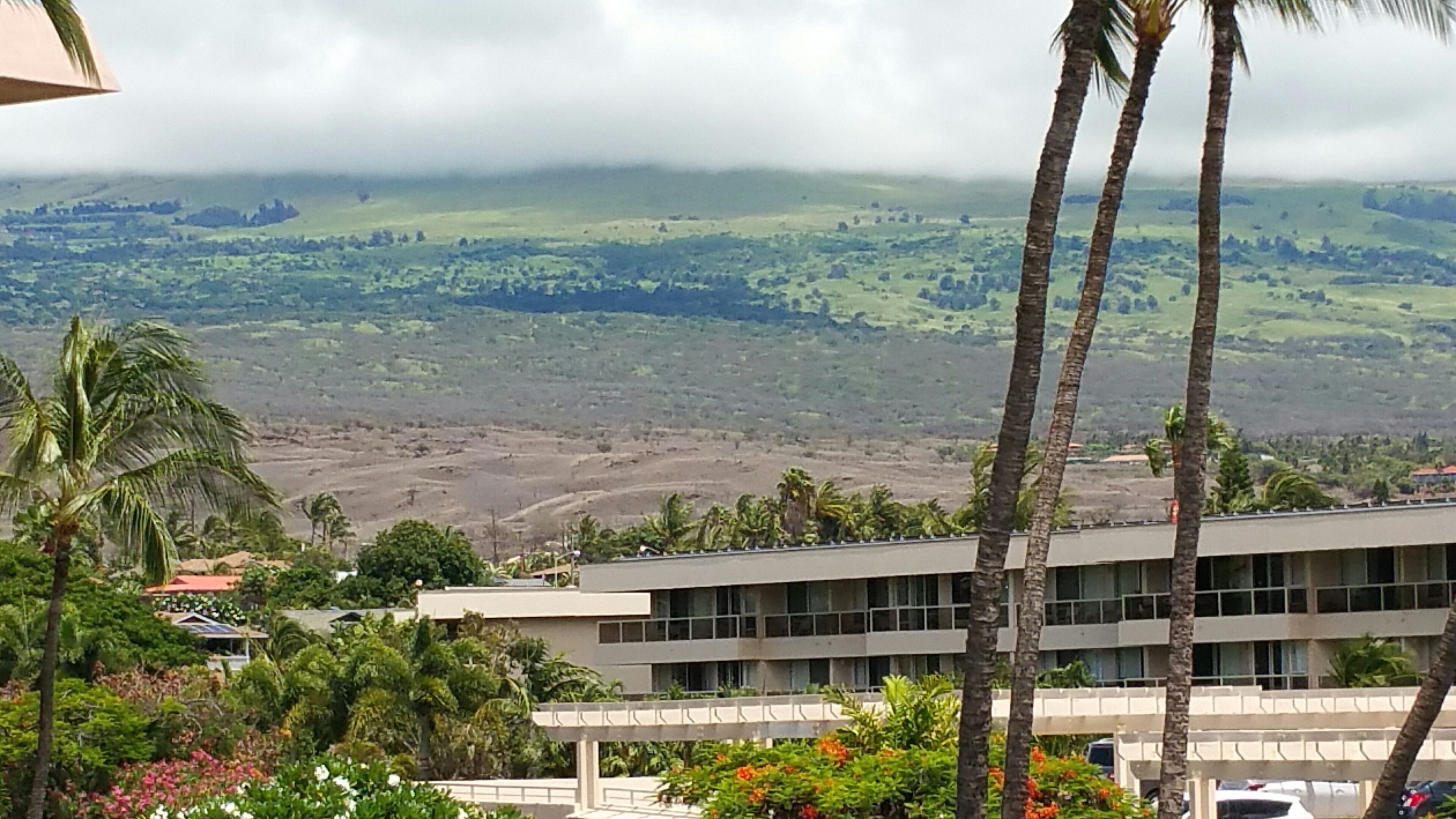 Spectacular Ocean and Sunset Views From This 2BR/ 2Bath 6th Floor Condo - Photo 27