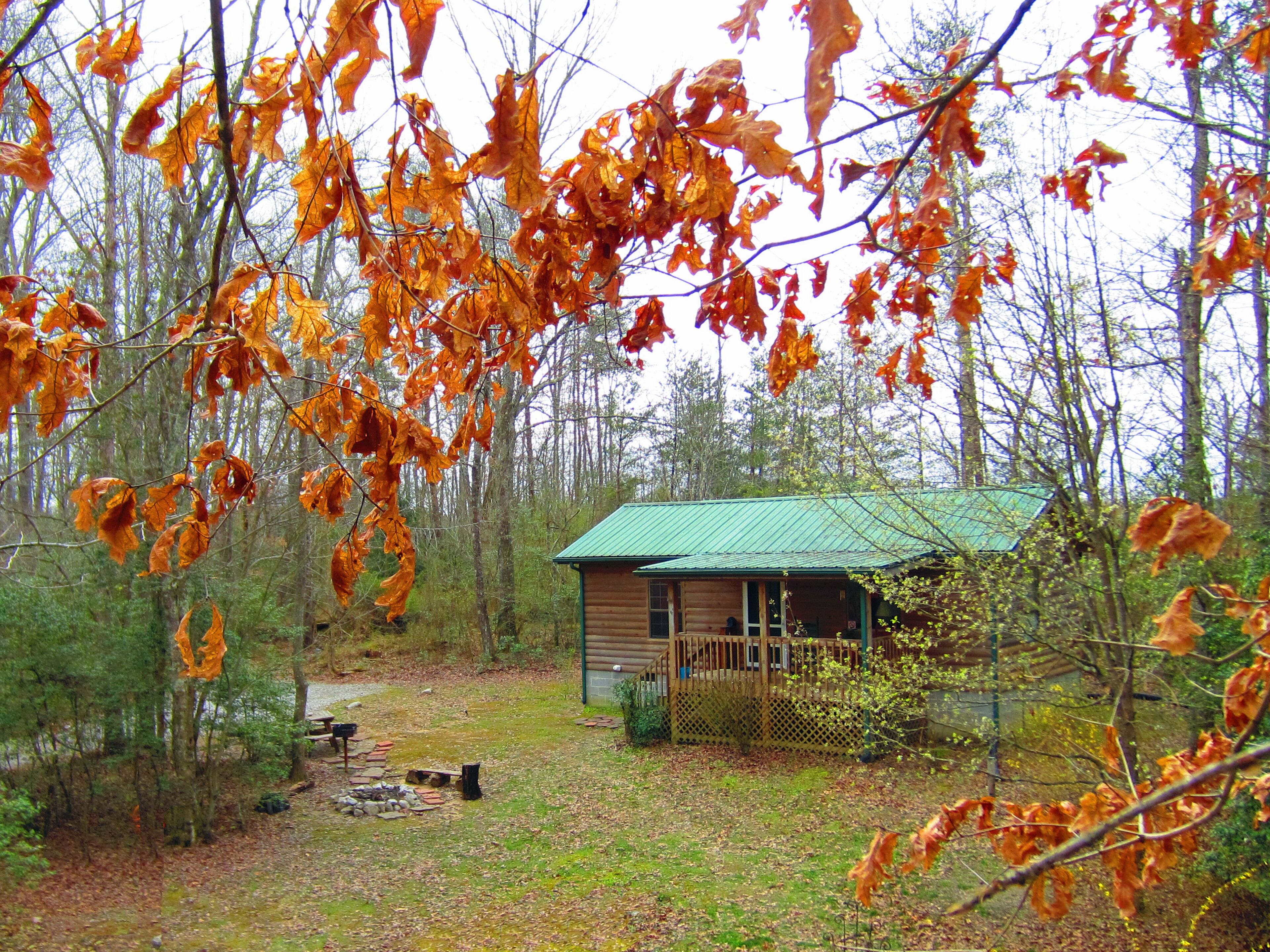 Private Log Cabin in the Woods! 5min to park. Water View!