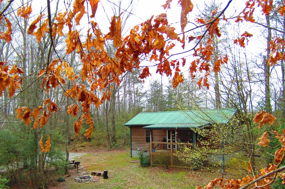 Private Log Cabin in the Woods! 5min to park. Water View!