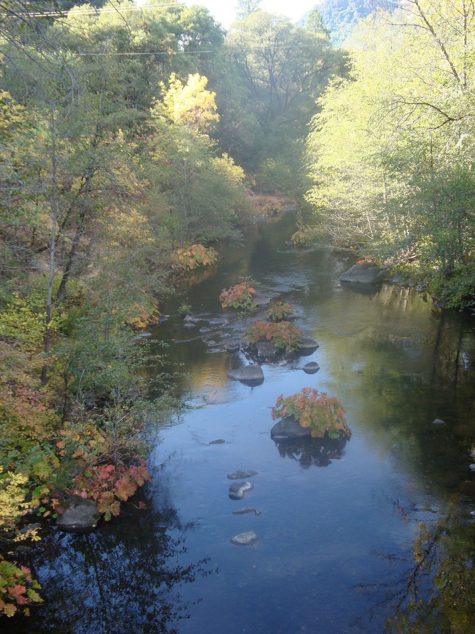 Canyon Cottage: a peaceful oasis in a hurried world