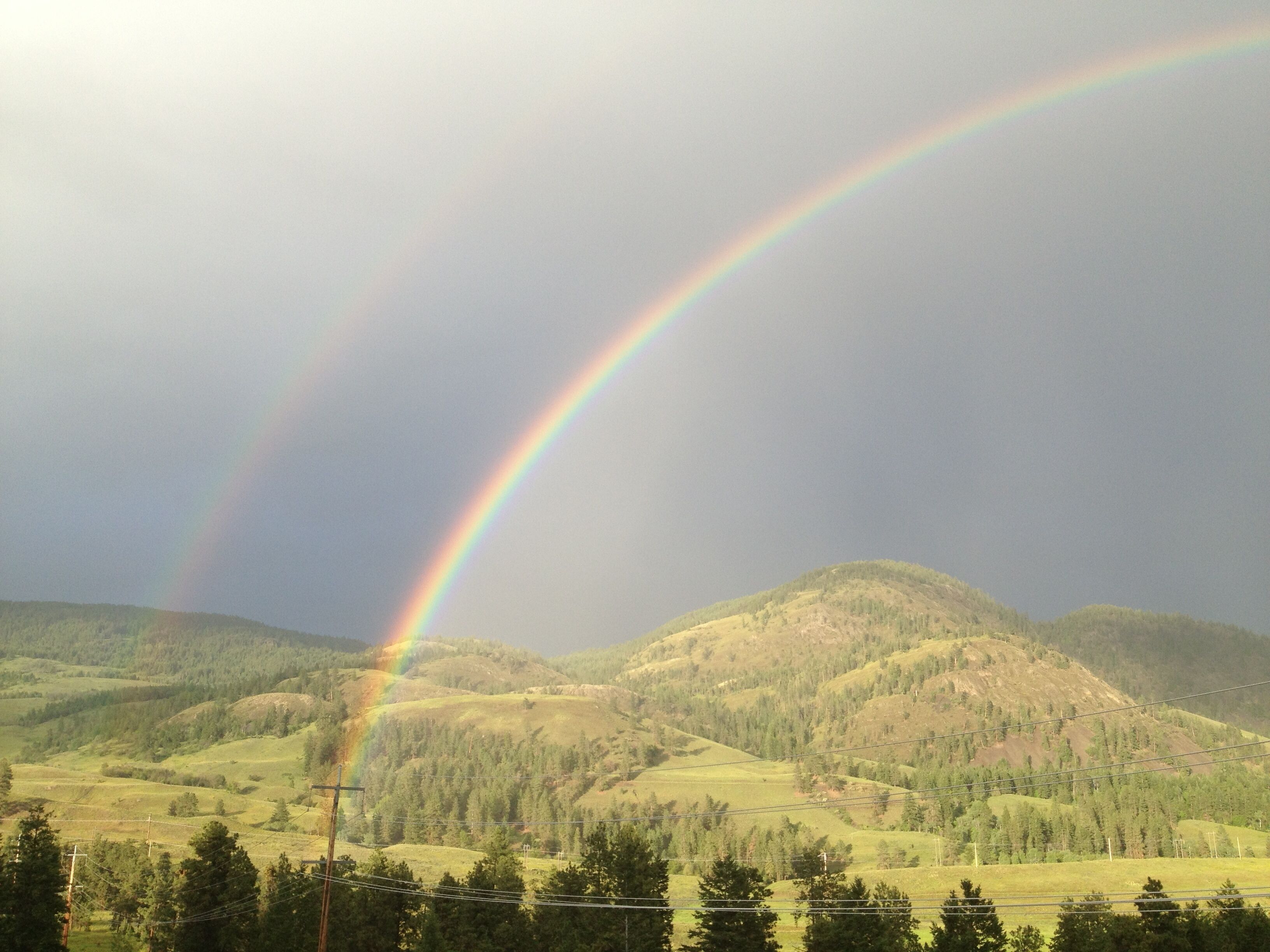 Only Minutes From Everything Kelowna Has To Offer!