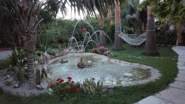 Ein Garten mit Teich, Palmen und einer Hängematte.