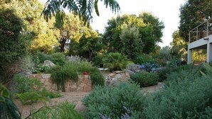 Een aangelegde tuin met diverse planten en een stenen muur.