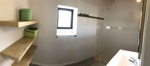 Bathtub, hair dryer, toilet paper