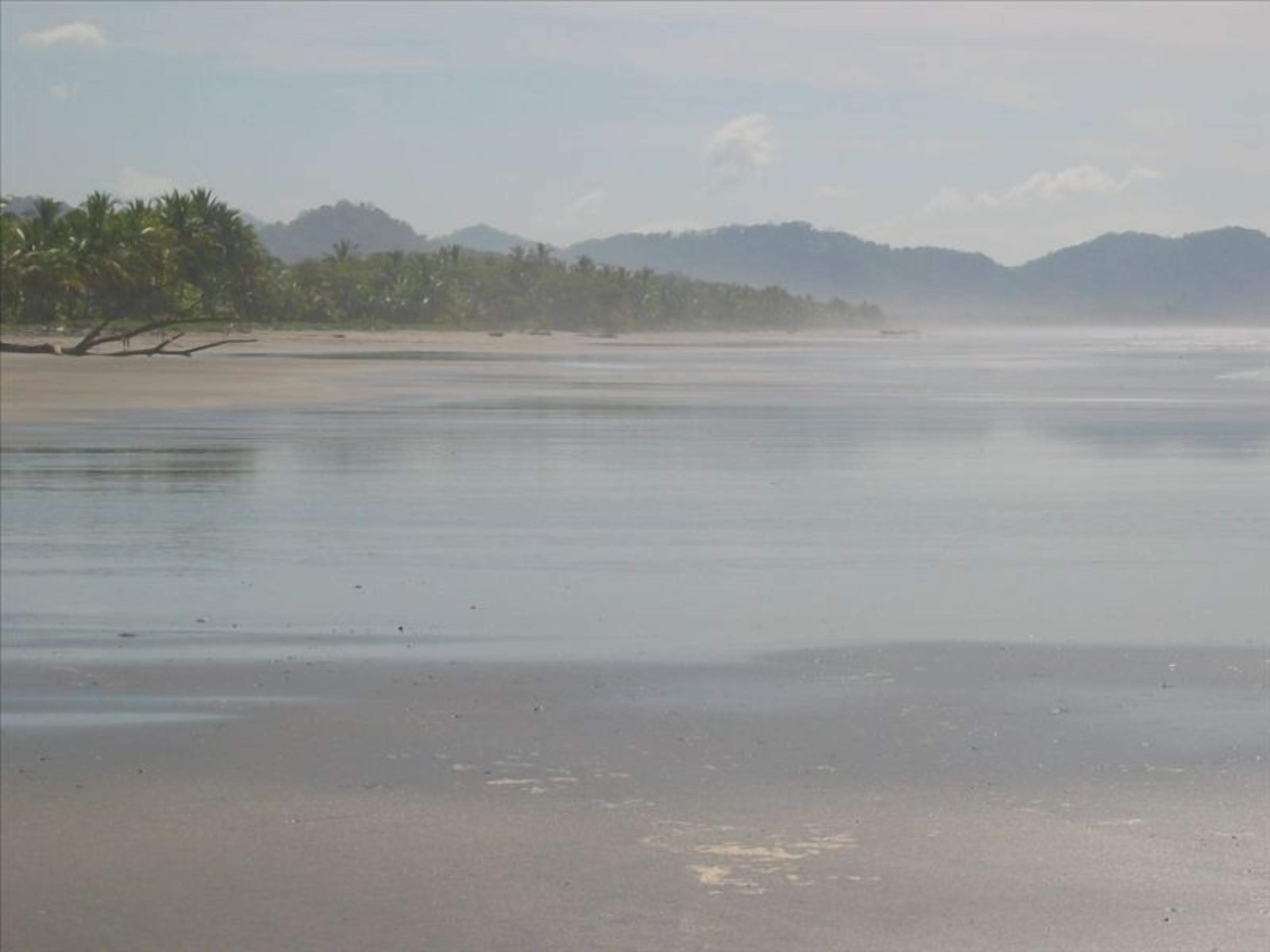 Private Ocean View Condo