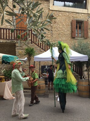 Outdoor dining - Stylish French renovated house with heated pool in historic Bize by river  (Bize-Minervois)