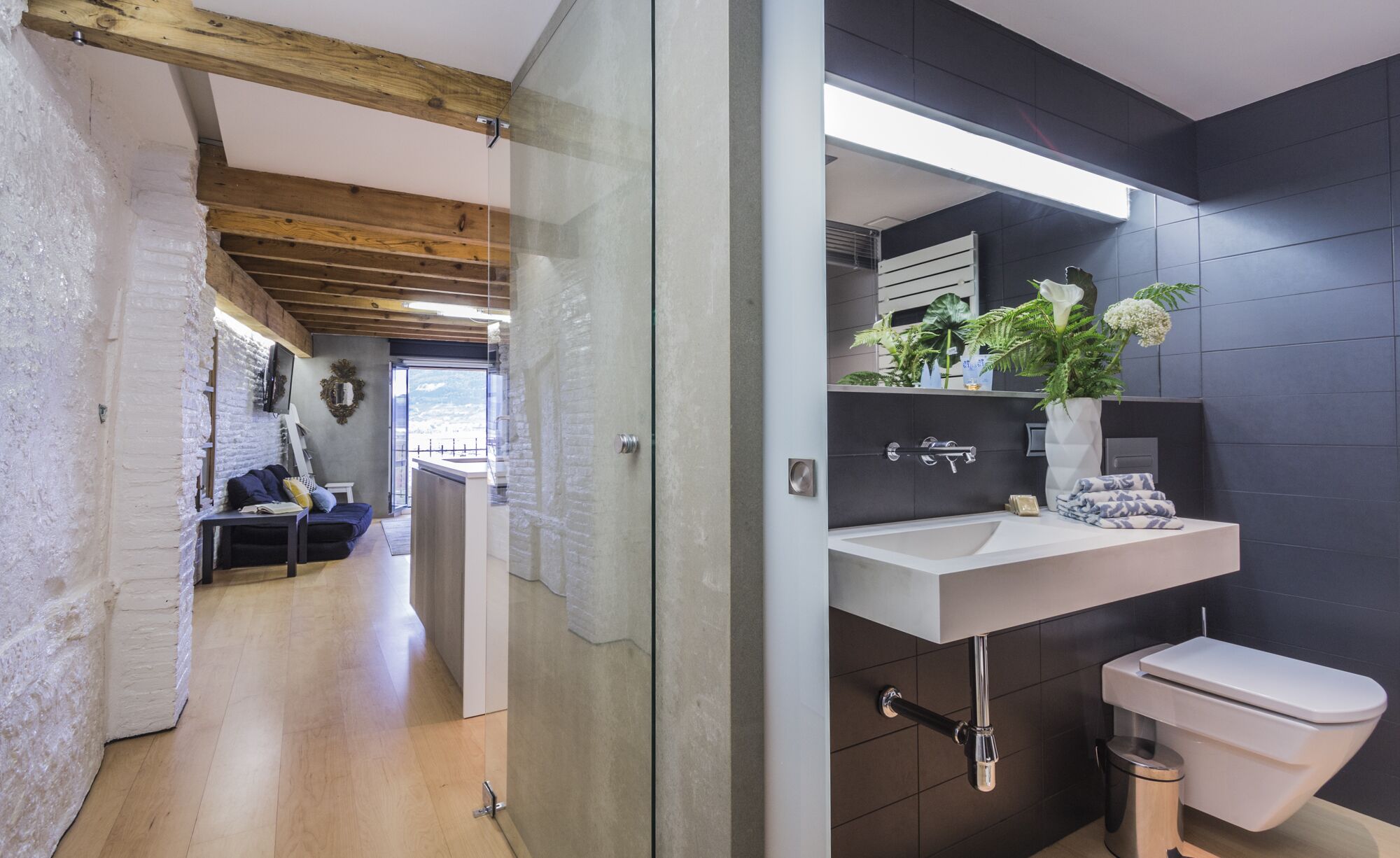 Loft Walls of Pamplona