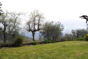 Property grounds - Farmhouse surrounded by nature (Lucca)