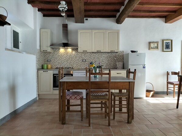 Fridge, oven, stovetop, dishwasher