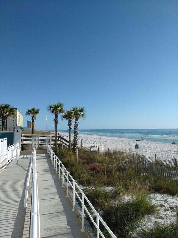 Plage, chaises longues