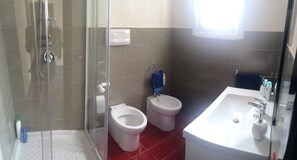 Shower, hair dryer, bidet, towels