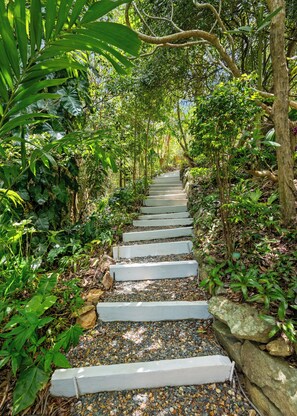 Un sendero con escalones que atraviesa un exuberante jardín.