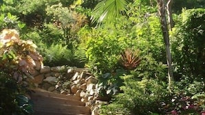 A wooden staircase surrounded by lush greenery and a palm tree. - Sea Cottage - Charming and Romantic with a Stunning View (St. John)