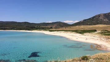 靠近海滩