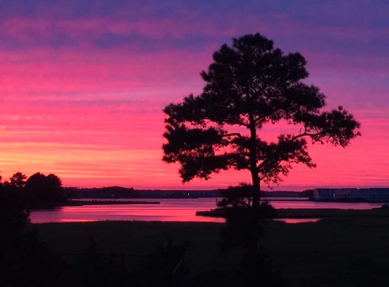 Sunset Bayview from Deck #1 off Living Room #1 and Dining Room