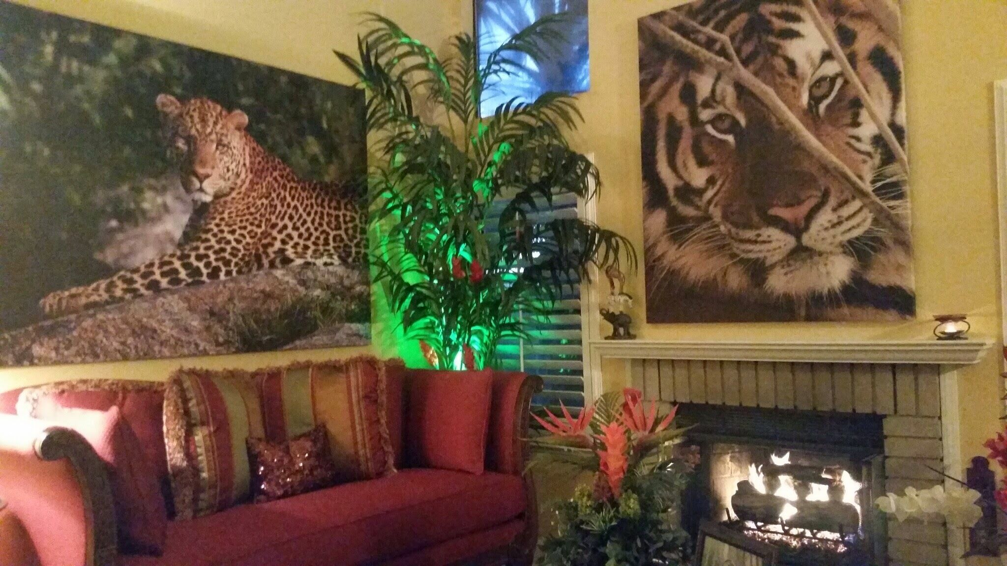 Safari Condo Pool / Jacuzzi / Shopping & Restaurants Across The Street