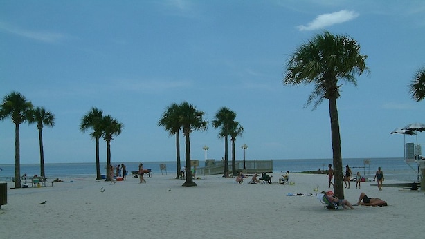 A beach with palm trees, people sunbathing, and a lifeguard tower.