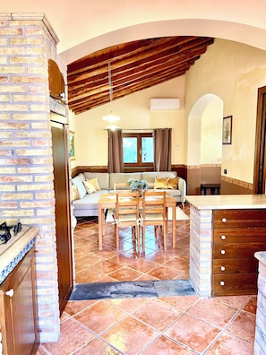 Smart TV, fireplace, books, music library