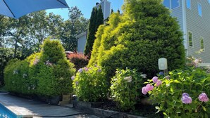A wooden deck with a swimming pool, surrounded by well-maintained hedges and flowering plants. - 5BR, 5BA on cul-de-sac, Big Pool,  jacuzzi, gym,  beautiful bay beach (Hampton Bays)
