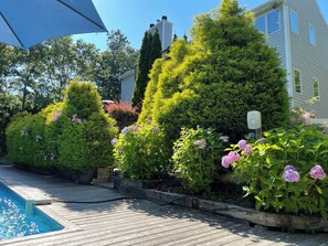 Piscina all'aperto, una piscina riscaldata