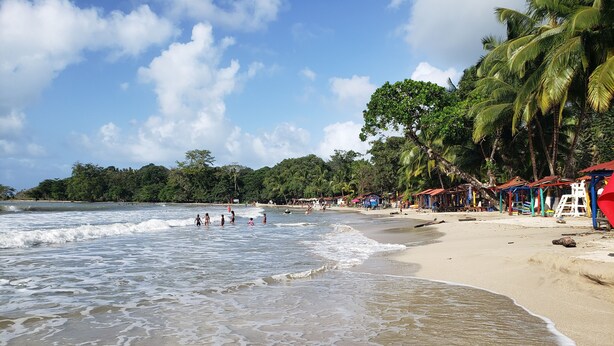En la playa y camastros 