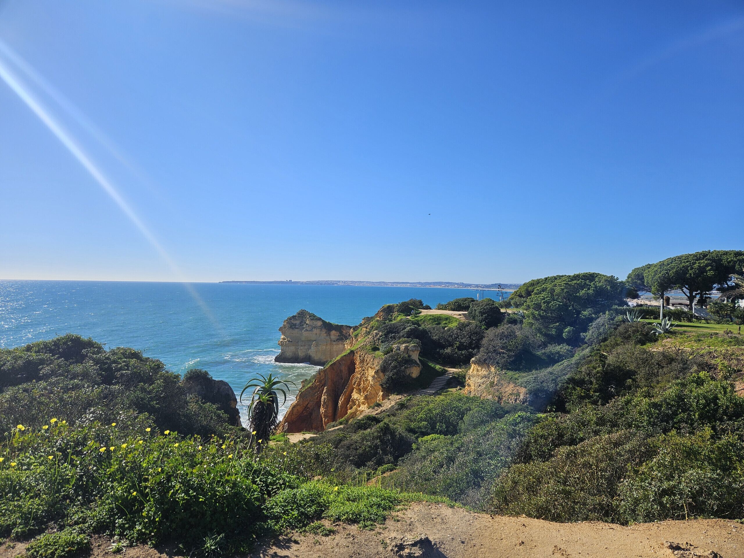 Paisagem costeira com falésias, vegetação e céu claro.