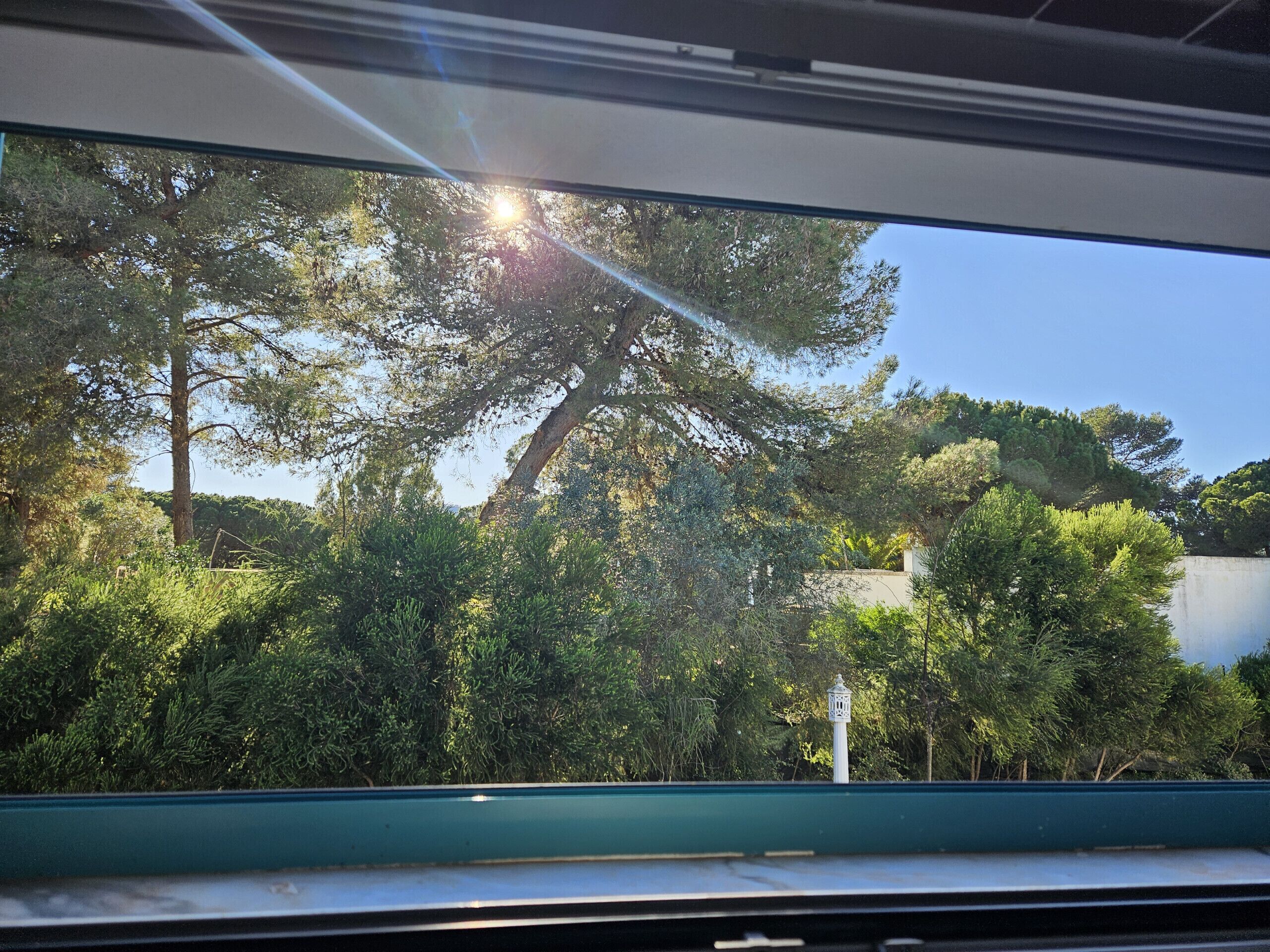 Vista a través de una ventana con árboles y cielo despejado.