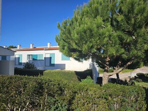 A white building with blue shutters, surrounded by greenery and a large tree.