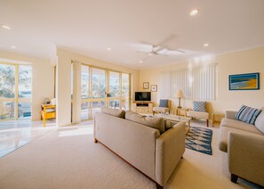 TV, DVD player, books