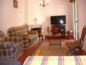 TV, fireplace, DVD player