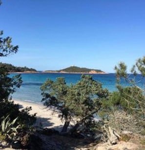 Uma praia com águas azul-claras, areal arenoso e alguma vegetação.